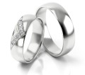 Cms_313_White_background_2.jpg