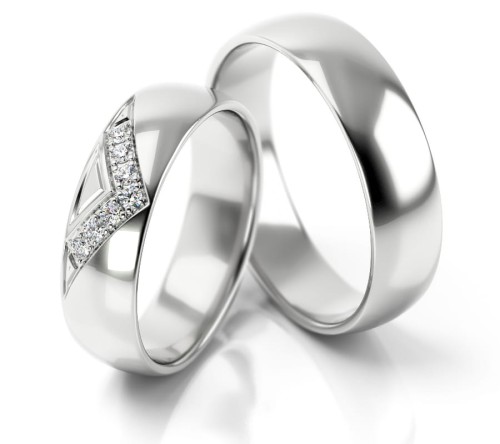 Cms_313_White_background_2.jpg