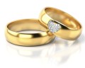 Cms_310_White_background_1.jpg